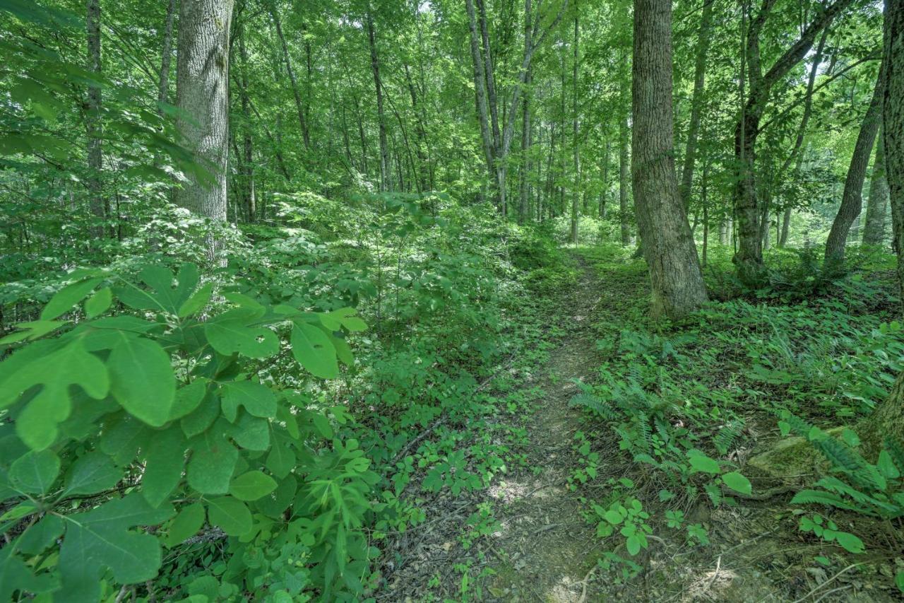 Historic Cabin Grill And Hiking Trail Access! 布赖森城 外观 照片